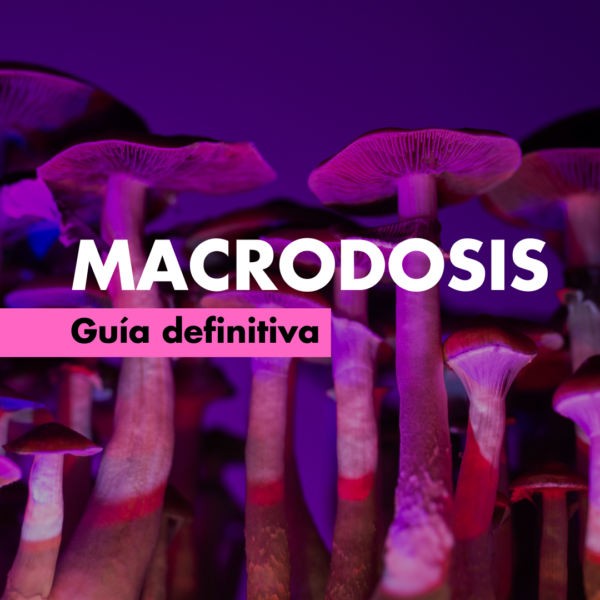 Macrodosis Sagrado Remedio Guía definitiva Macrodosis Sagrado Remedio Guía definitiva