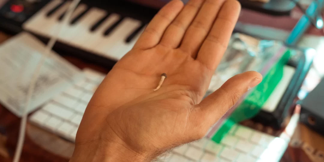 microdosis de hongos mágicos