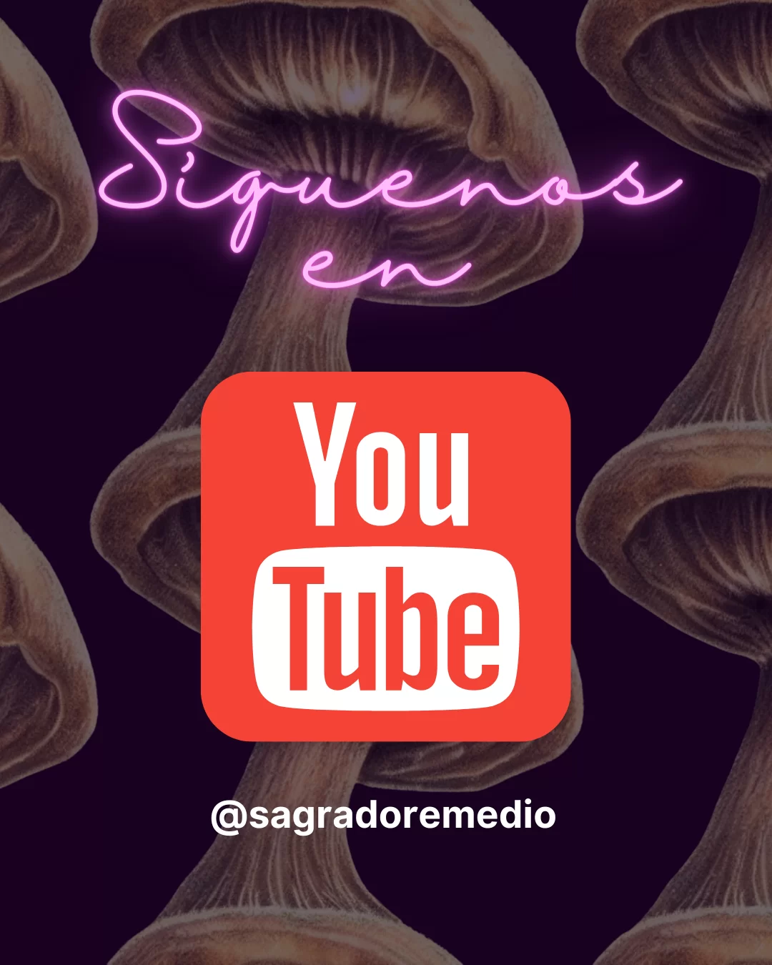 Sagrado Remedio Youtube banner