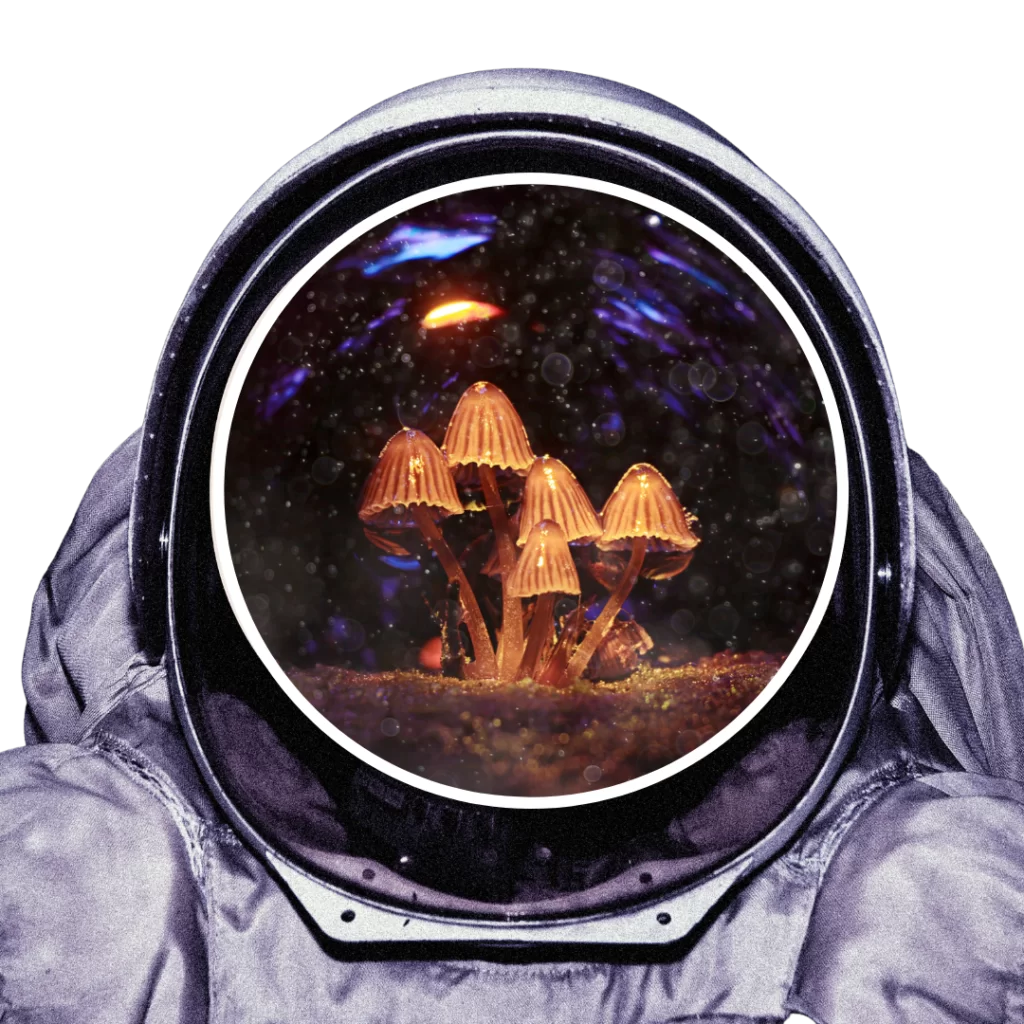 el navegante Sagrado Remedio