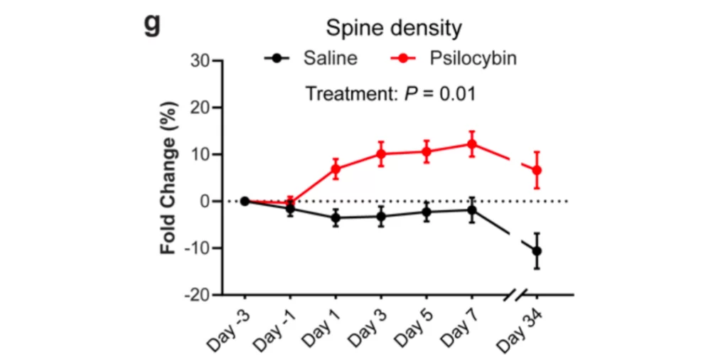 estudio Sagrado Remedio neuroplasticidad