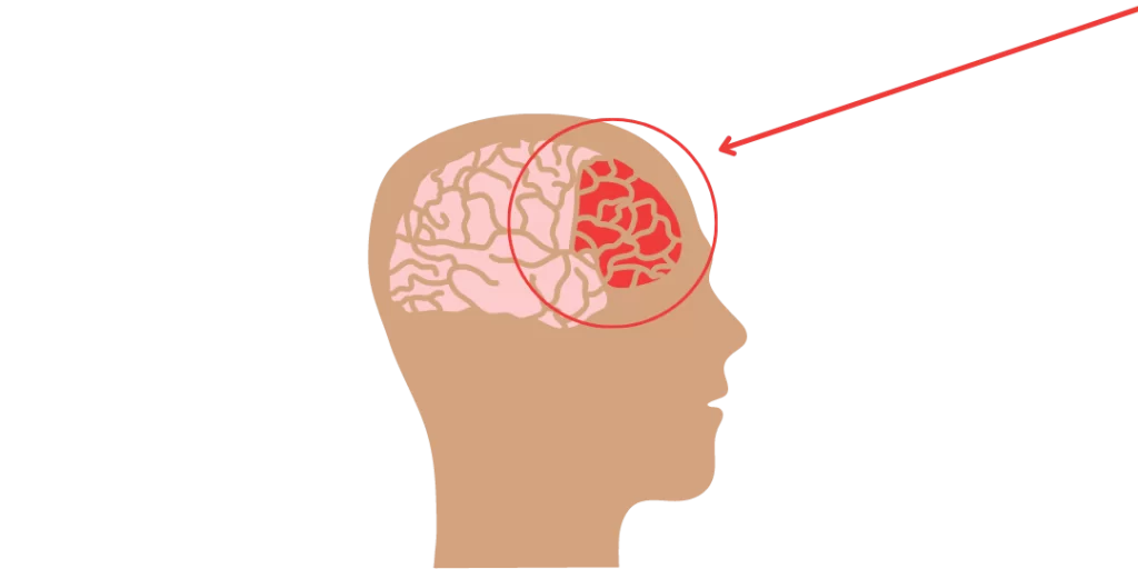 Corteza prefrontal sagrado remedio