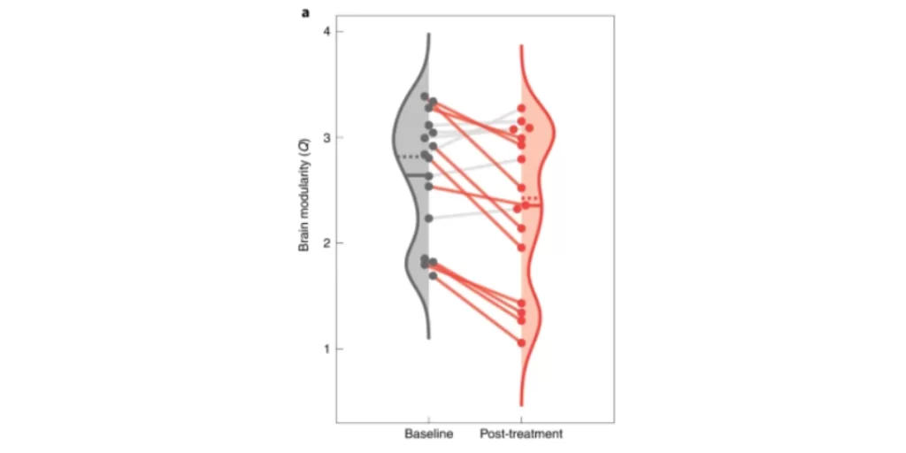 modularidad cerebral Sagrado Remedio