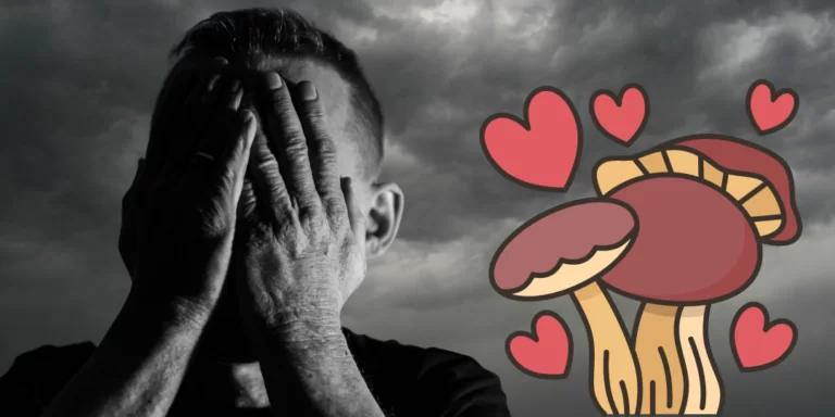 hongos curan la depresión