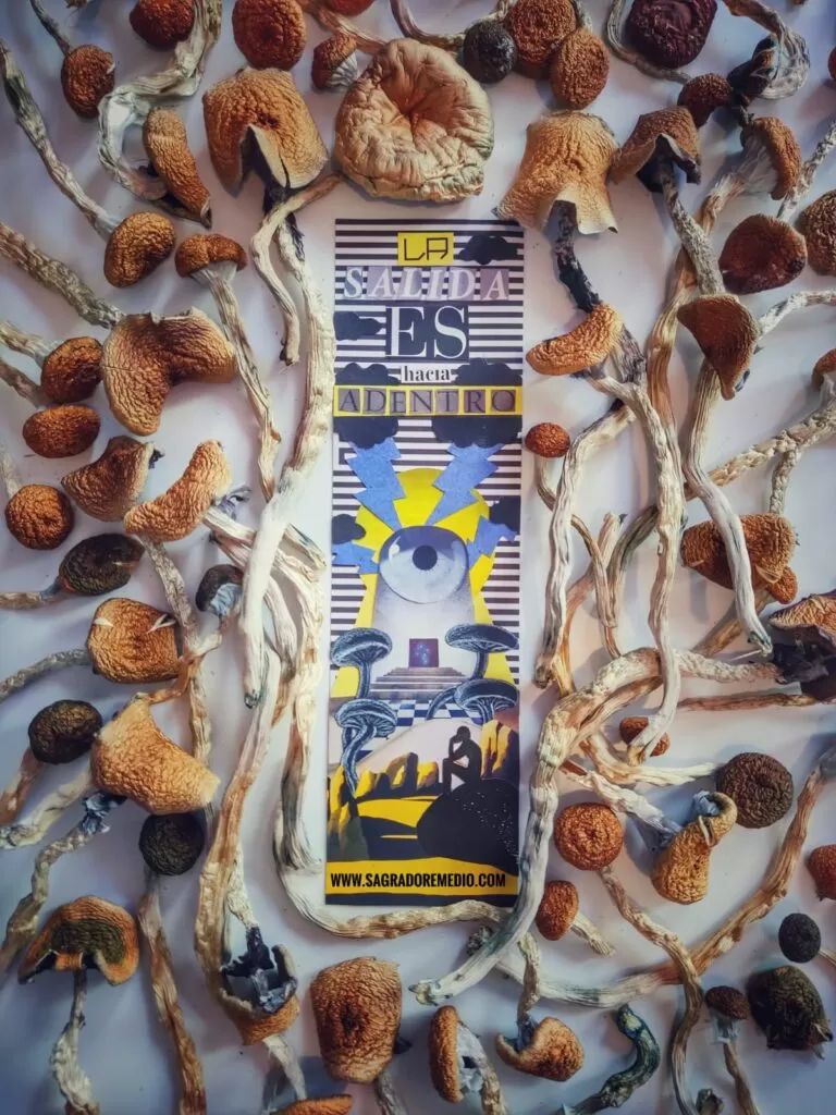 La salida es hacia adentro by Sagrado Remedio