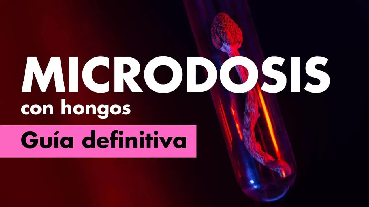 microdosis de psilocibina guia definitva