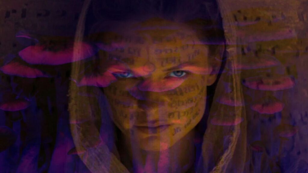 Hongos mágicos y psilocibina: La inspiración para la novela épica "Dune" 1