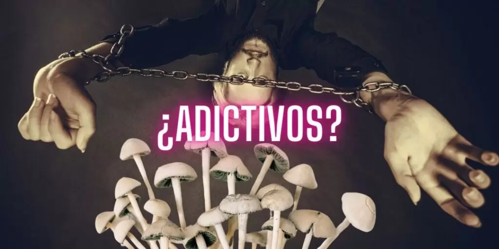 adicción Sagrado Remedio