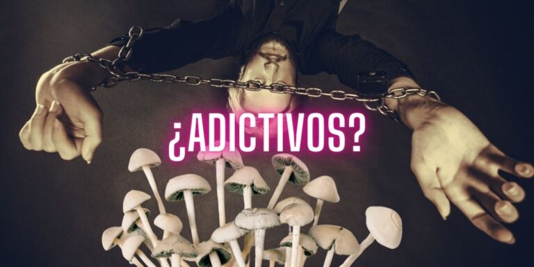 Blog oficial de Sagrado Remedio 73 adicción psilocibina