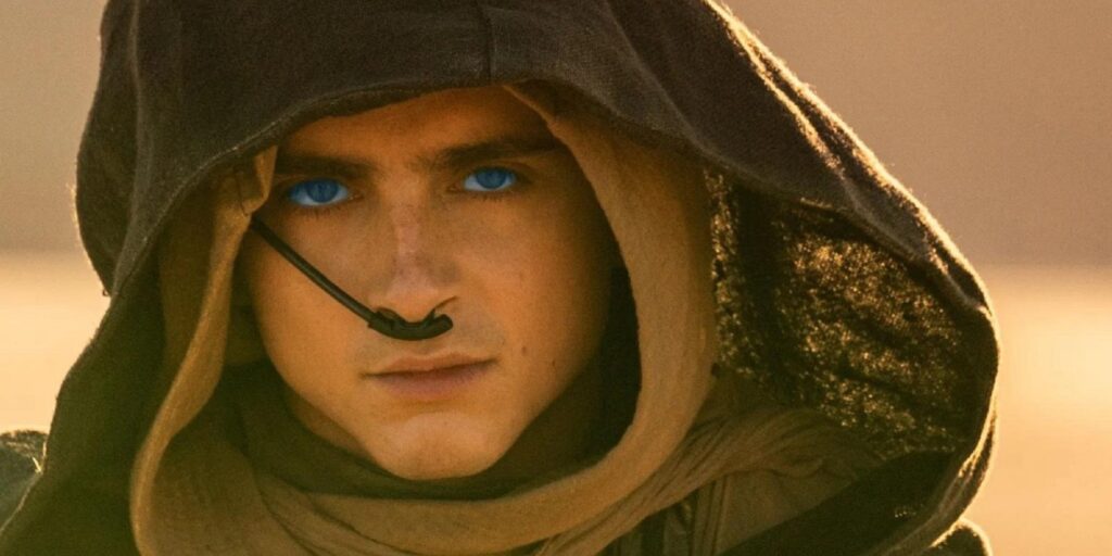 Hongos mágicos y psilocibina: La inspiración para la novela épica "Dune" 3