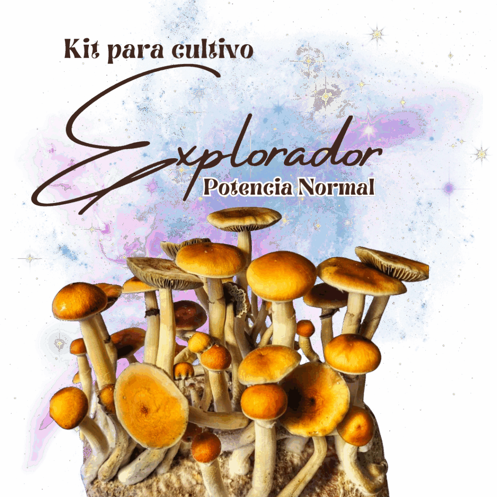 Tienda Kits para Cultivo 2