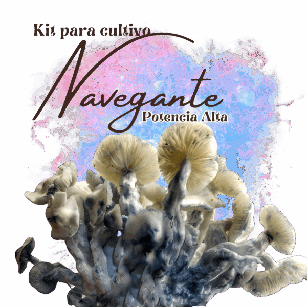 Kit Navegante