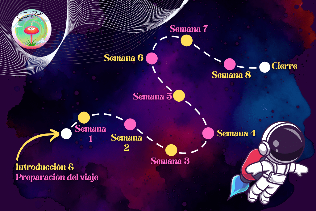 8 semanas grandes cambios dosis micro