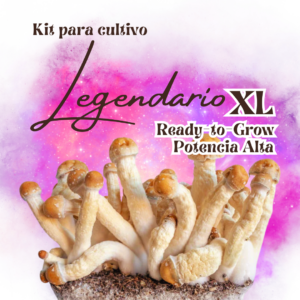 Kit Legendario XL Ready-to-Grow