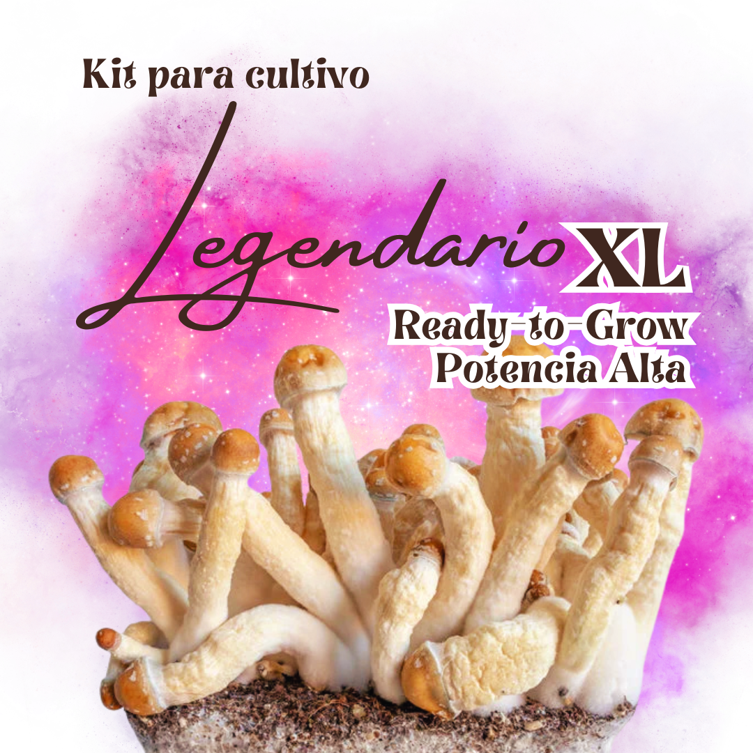 Kit Legendario XL Ready-to-Grow 1 Kit Legendario XL Ready-to-Grow
